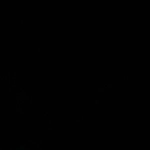 Meet your Posher, Donald